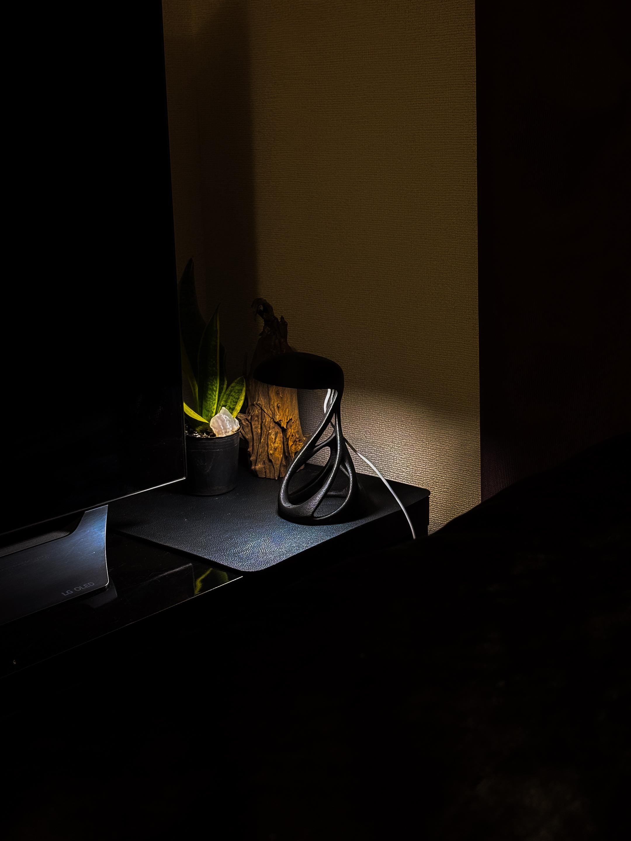 Alien 3D Printed LED Lamp – Futuristic Textured Desk Light, Modern Sci-Fi Home Décor