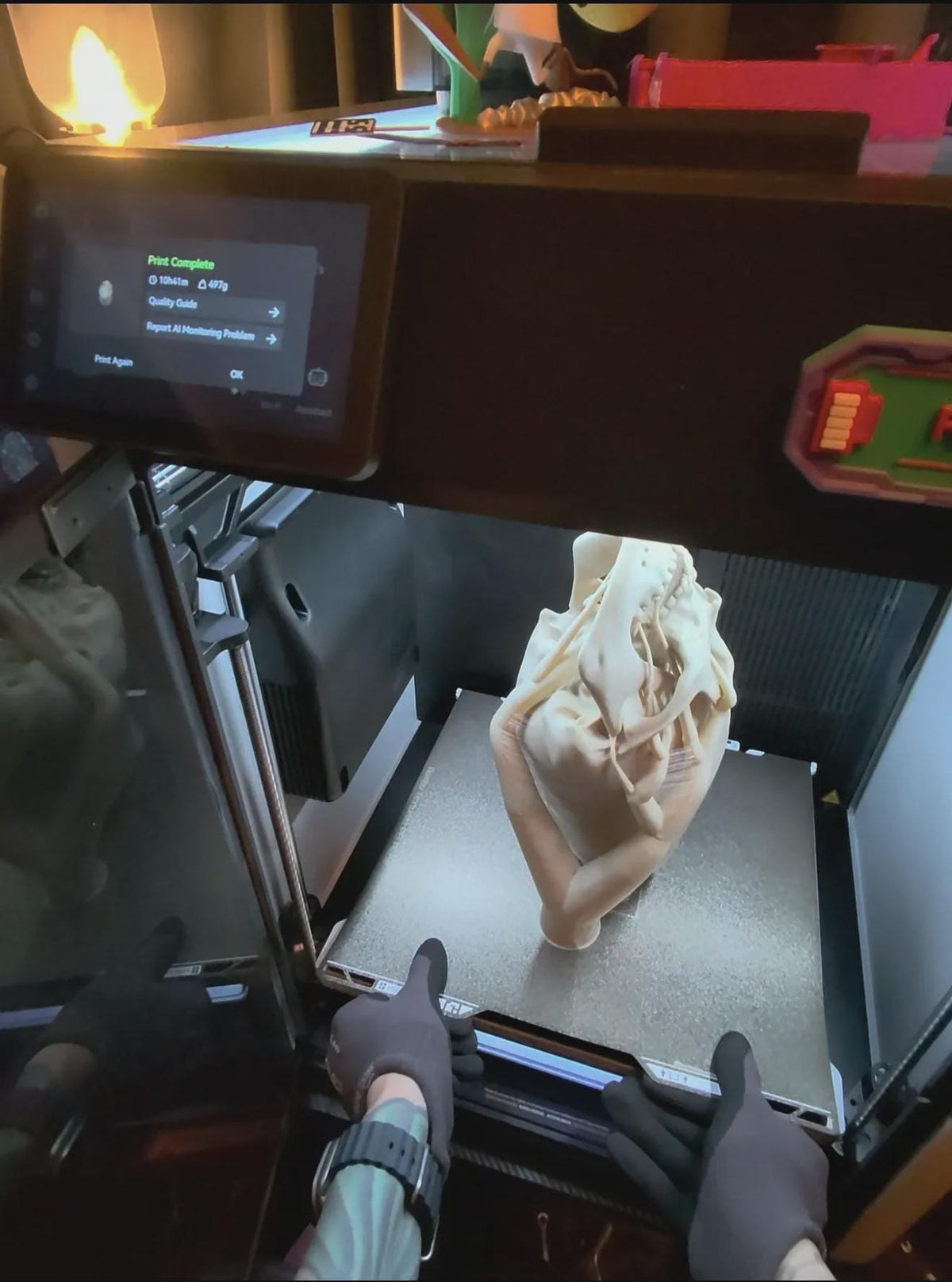 Paracas Skull Replica | Ancient Aliens Display Sculpture | 3D Printed Archaeology Curiosity