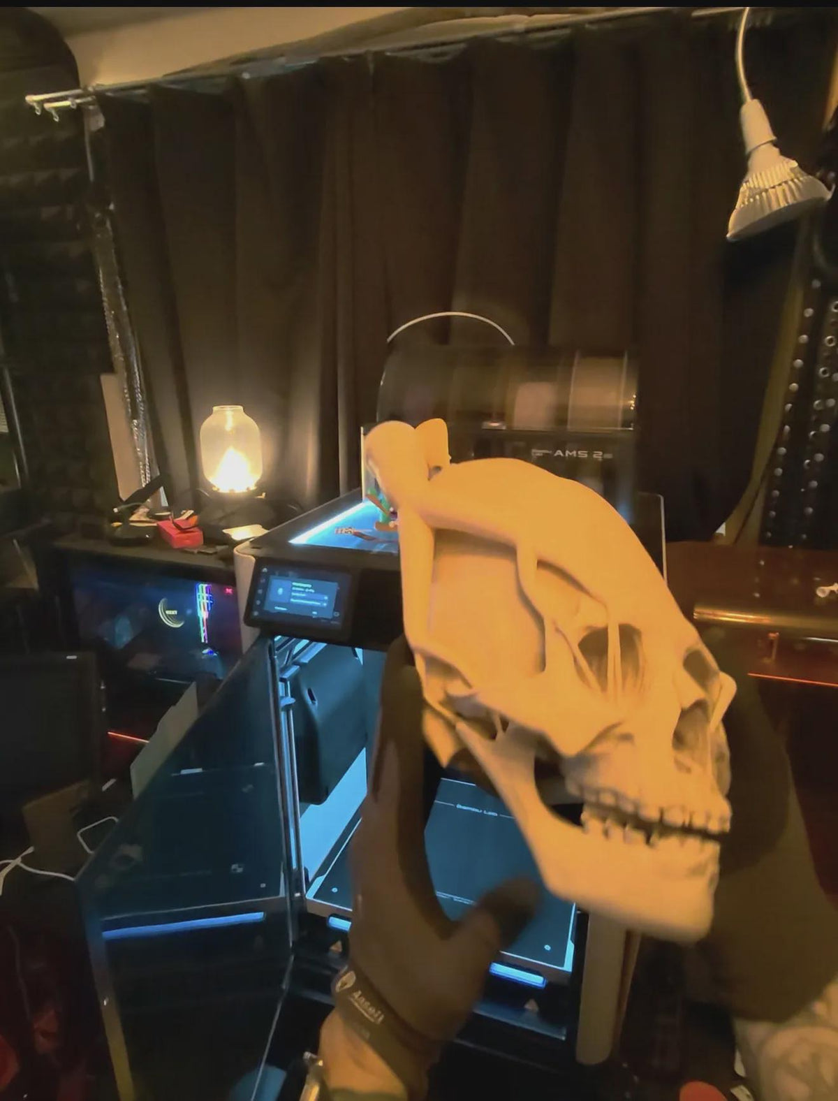 Paracas Skull Replica | Ancient Aliens Display Sculpture | 3D Printed Archaeology Curiosity